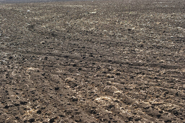 Campo recentemente arado de chernozem com os restos de topos secos do ano passado, que decairá e se transformará em fertilizante
 - Foto, Imagem