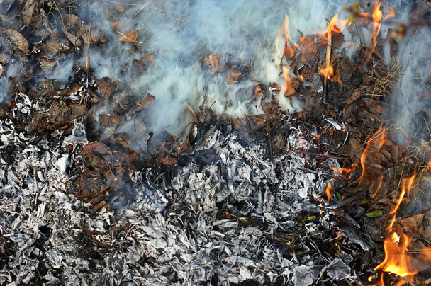 Last year's leaves and dry grass are burned at the stake. A lot of thick white smoke. Fire and Smoke from during Burning of garden waste. Seasonal garden work and backyard clean up concept. - 写真・画像