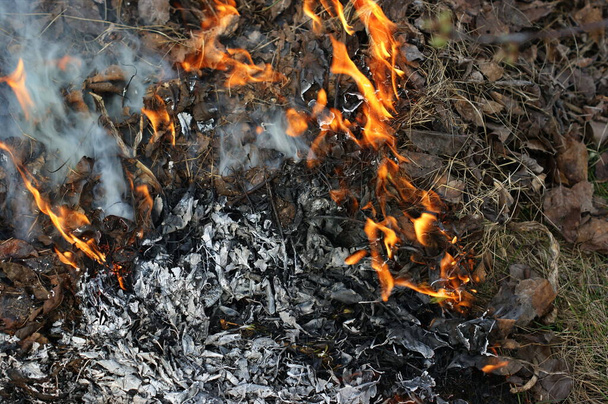 Τα περσινά φύλλα και το ξεραμένο γρασίδι καίγονται στην πυρά. Πολύς παχύς λευκός καπνός. Φωτιά και καπνός κατά τη διάρκεια της καύσης των απορριμμάτων κήπων. Εποχιακή εργασία στον κήπο και την αυλή έννοια καθαρισμού. - Φωτογραφία, εικόνα