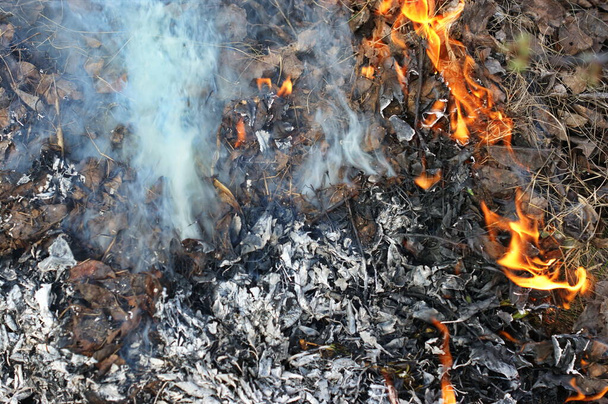 Last year's leaves and dry grass are burned at the stake. A lot of thick white smoke. Fire and Smoke from during Burning of garden waste. Seasonal garden work and backyard clean up concept. - Photo, image