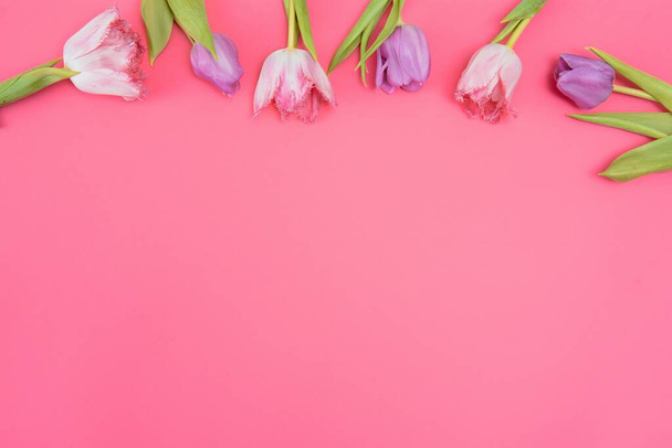 Pink tulips on the pink background. Flat lay, top view. Valentines background. Horizontal,, toned - Foto, Imagem