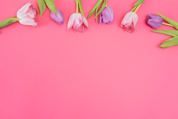 Floral background with tulips flowers on pink pastel background. Flat lay, top view. Woman day background. summer spring tulips flowers background - Valokuva, kuva