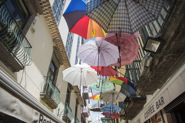 parasole w alejce w centrum miasta Funchal na Maderze Portugalii. Portugalia, Madera, kwiecień 2018 - Zdjęcie, obraz