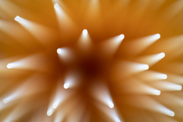 Abstract shot of dried spaghetti pasta - 写真・画像