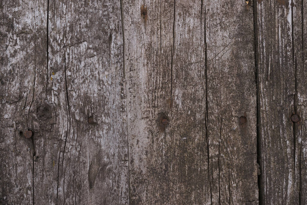 Antiguo primer plano de superficie texturizada de madera. Moss y relieve en la superficie. Foto de stock de viejo patrón de madera de tablas envejecidas con musgo. Marrón y gris colores en la foto
. - Foto, imagen