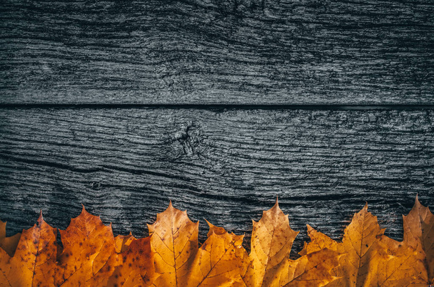 Autumn background with yellow colored leaves on wooden board - Photo, image