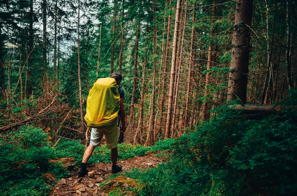 Tourist with yellow bag walk through forest in mountains - Zdjęcie, obraz