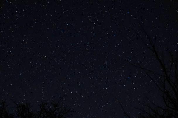 Foto nocturna de larga exposición. Un montón de estrellas con árboles en primer plano. Lejos de la ciudad. - Foto, Imagen