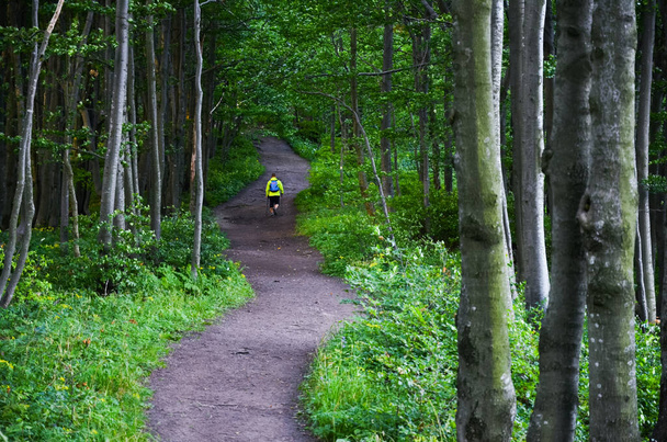 Hiking in green nature. Female Turist walking on the natural patch - Valokuva, kuva