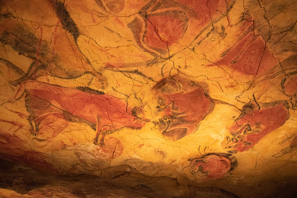 Les grottes d'Altamira, en Cantabrie. Art rupestre espagnol. C'est la plus haute représentation de la peinture rupestre en Espagne
 - Photo, image