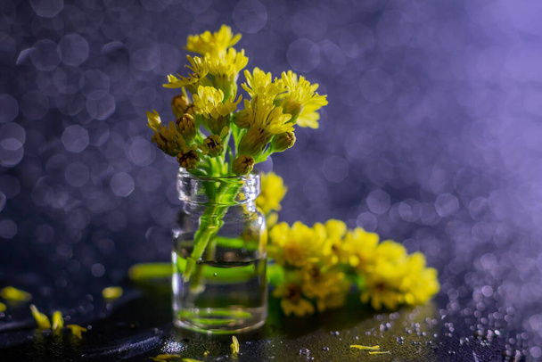 Macro photography of transparent bottle with tiny yellow mimosa flowers on dark purple background with sparkles. Small yellow flowers on gentle soft violet background. Concept of spring season and symbol of 8 March. - 写真・画像
