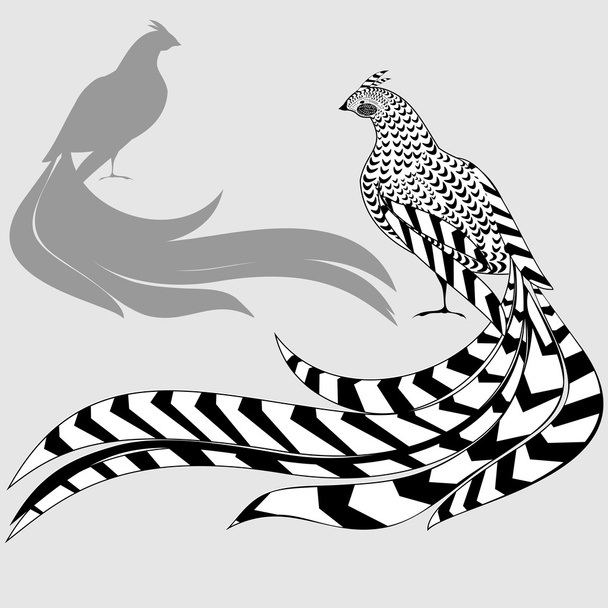 Reeves's Pheasant and silhouette of pheasant - Vektori, kuva