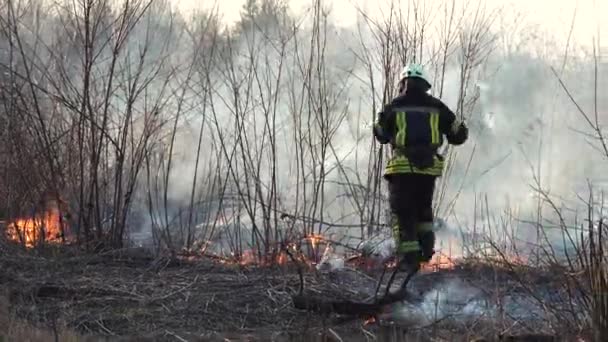 消防士は街の近くで森林火災を出す。茂みや木の間で煙で草を燃やす。大気汚染と生態学。干ばつや気候変動による火災。アーソン・グラス。消防士  - 映像、動画