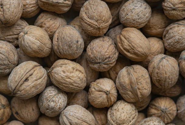 Walnuts with shells. Background of fresh walnuts. - Fotoğraf, Görsel