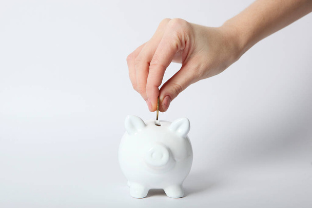 Hand puts coin in piggy piggy bank. Conservation finance concept. Save money. - Fotografie, Obrázek