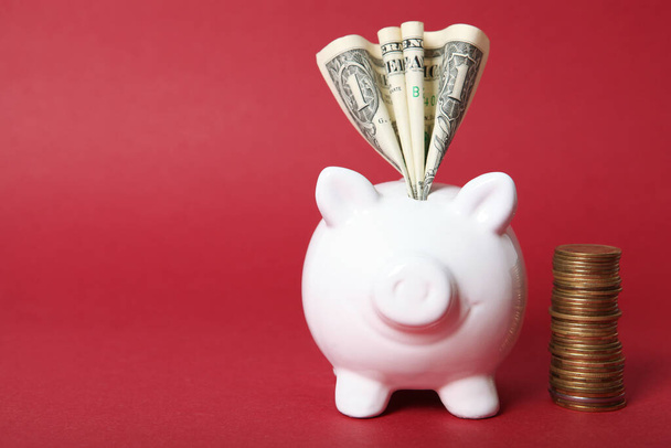 piggy piggy bank and dollar on a colored background. Save money. - Foto, imagen