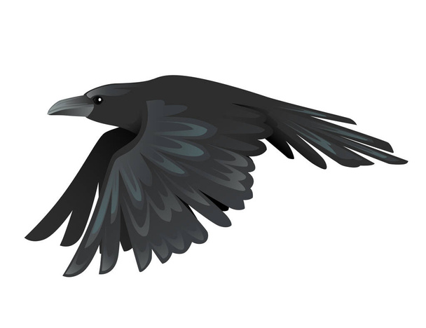 Negro cuervo pájaro dibujo animado cuervo diseño plano vector animal ilustración aislado sobre fondo blanco
. - Vector, Imagen