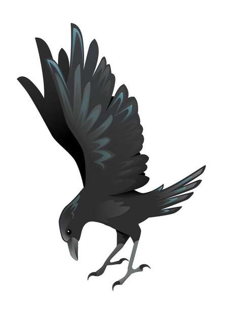 Black raven bird cartoon crow design flat vector animal illustration isolated on white background. - Vector, Image