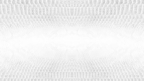 abstracte parallax achtergrond textuur van witte slang huid python patroon stijlvolle mode animatie - Video
