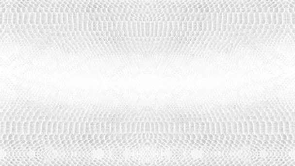 abstracte parallax achtergrond textuur van witte slang huid python patroon stijlvolle mode animatie - Video