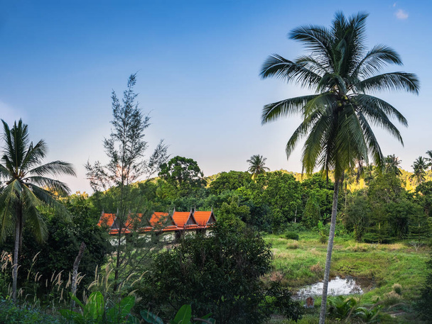 Viviendo en estado salvaje. Bungalow de casas pequeñas con techo rojo en la selva tailandesa, Koh Chang, Tailandia. Paisaje rural asiático panorámico con casa de campo de madera tailandesa en el bosque - Foto, Imagen