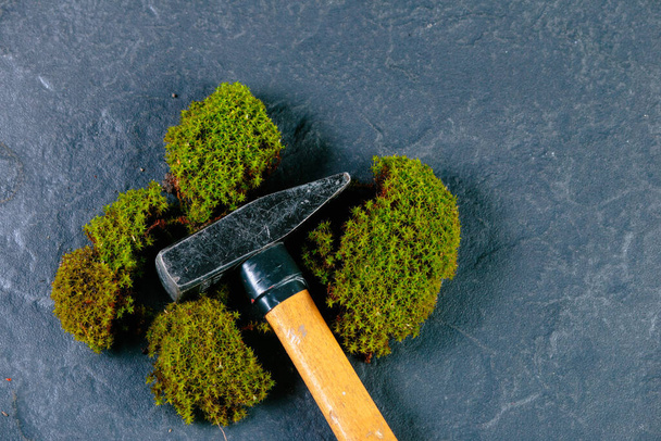 hammer in green moss on granite - Photo, Image