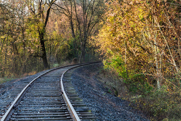 Prázdné železniční koleje mizí za ohybem uprostřed jasného podzimního listí - Fotografie, Obrázek