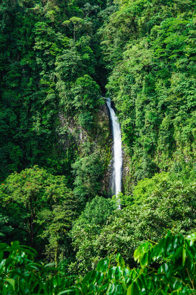 Cascade de La Fortuna à Alajuela, Costa Rica
 - Photo, image