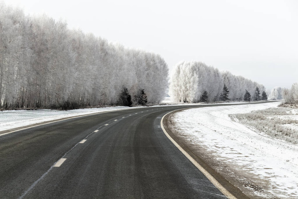 Highway among trees covered with thick hoarfrost. - Foto, afbeelding