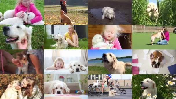 a háziállatok iránti szeretet. kutyák és gazdáik, kollázs. - Felvétel, videó