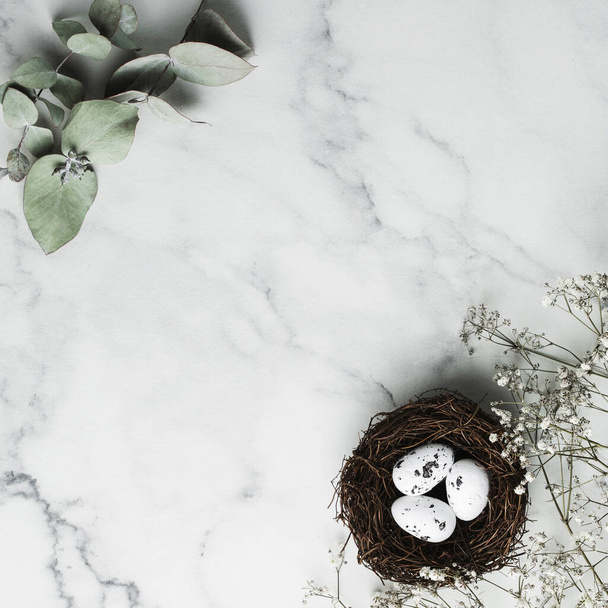 Eucalyptus and gypsophila on grey marble background. Happy Easter concept. - Foto, Imagen