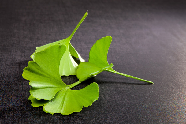 Ginkgo leaves. - Photo, Image