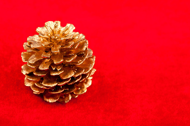 Closeup view of golden pine cone - Foto, Imagem