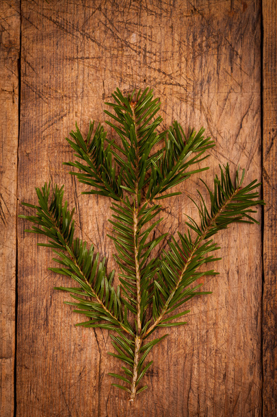Green branch on wooden background - Foto, Imagen