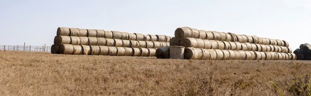 View of a stack of hay bales - Photo, Image