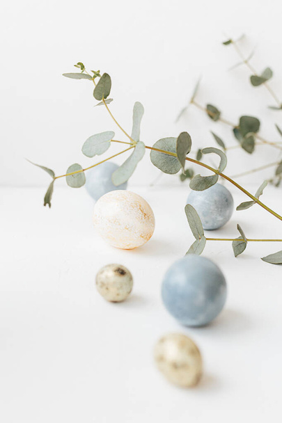 Colored easter eggs and eucalyptus branch on white textured background. Happy Easter Holidays. Minimalistic easter. Copy space - Photo, image