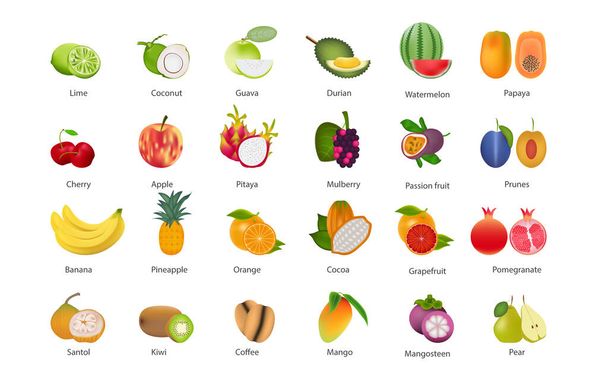 Набор векторных иллюстраций для сбора фруктов на белом фоне
 - Вектор,изображение