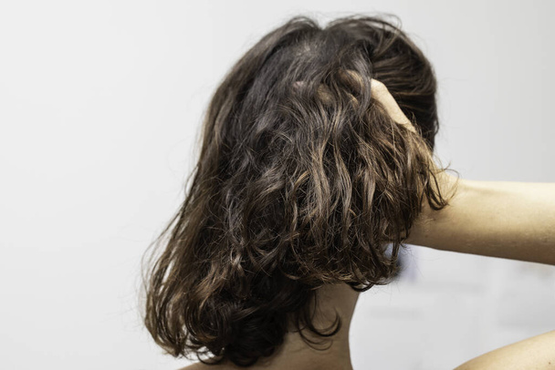 A beautiful brunette woman with shoulder length wavy hair is seen up close from the back, isolated against a white background as she runs fingers through hair with copy space. - 写真・画像