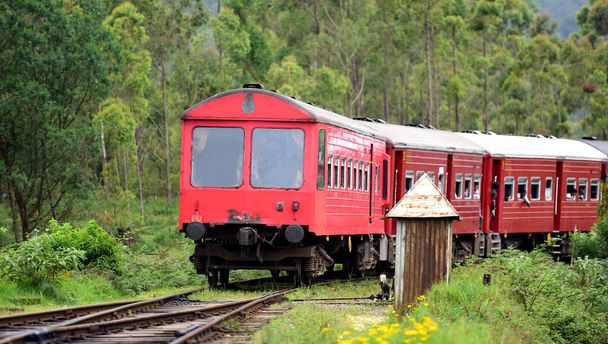 Słynna przejażdżka pociągiem w Ella, Sri Lanka - Zdjęcie, obraz