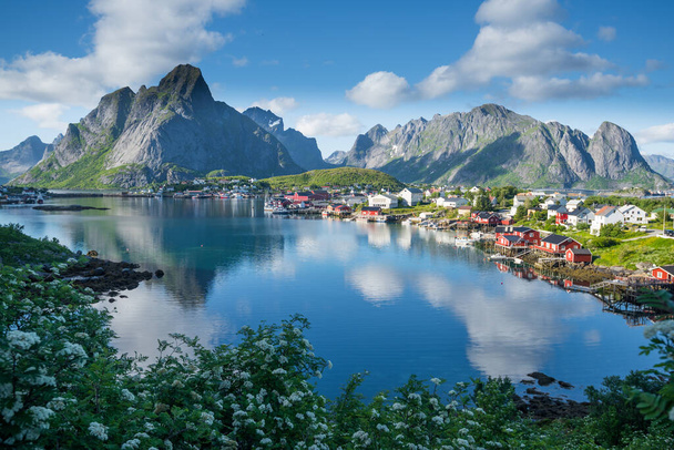 ノルウェー、夏のロフテン島の美しいライン漁村 - 写真・画像