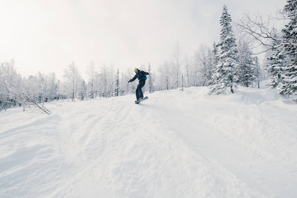 Freerider snowboarder jumping in winter snow-covered forest, fresh snow powder, sunny winter day - Фото, зображення