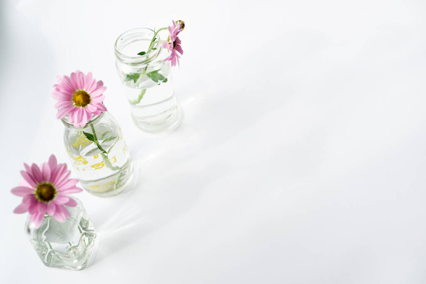 Delicate chrysanthemum spring flowers in transparent glass bottles stand in a row. Place for text on a white background. - Photo, Image