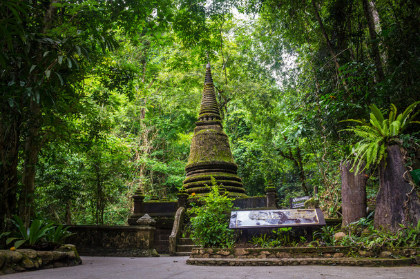 Vanha pagodi viidakossa, peitetty sammalta
. - Valokuva, kuva
