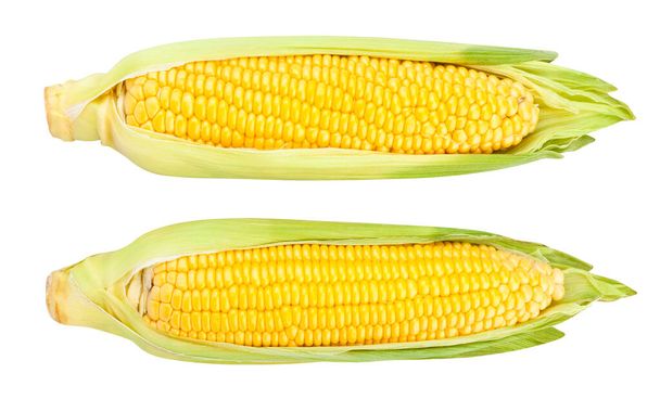 кукуруза путь изолирован на белый - Фото, изображение