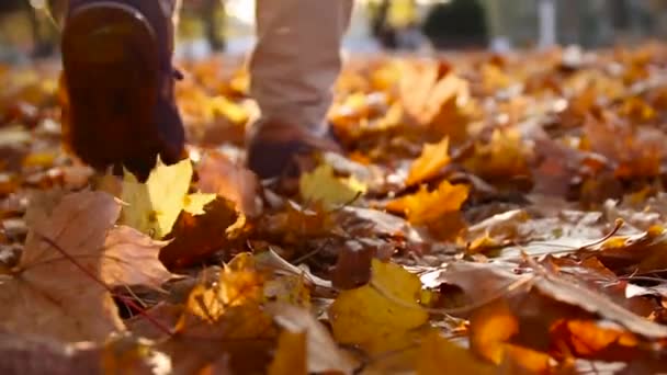 Ženské nohy kráčející lesem. Žluté padající podzimní listí na trávě ve slunečním svitu v parku. - Záběry, video
