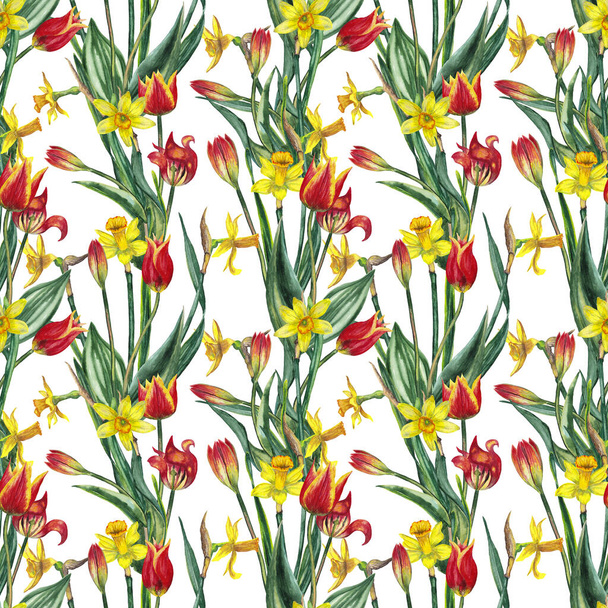 Seamless pattern of realistic spring flowers. Yellow narcissuses and red tulips on stems with leaves. Festive texture for memorial day. Watercolor hand painted isolated elements on white background. - Valokuva, kuva