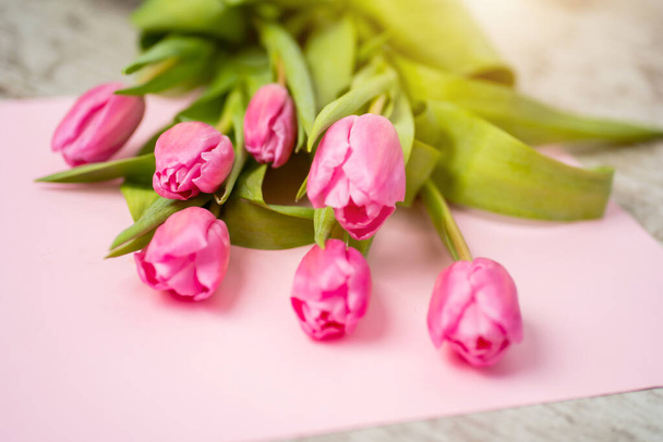 Beautiful spring flowers tulips on a pink paper background, closeup - Fotoğraf, Görsel