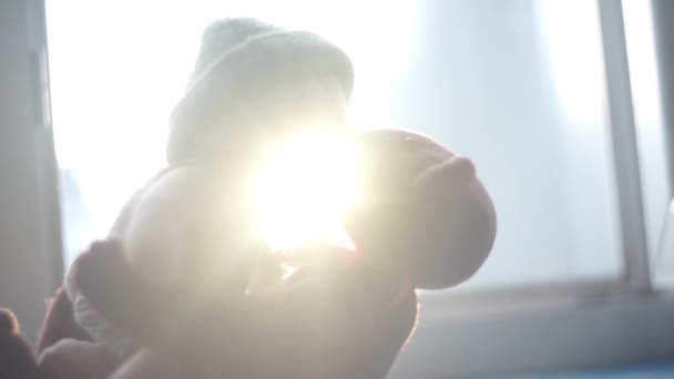 дві іграшкові ведмеді цілуються з сонцем на фоні
 - Кадри, відео