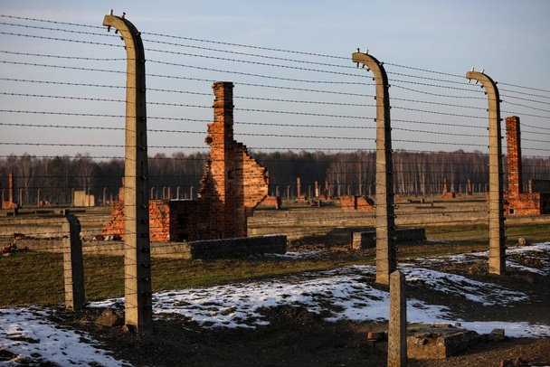 Аушвиц-Биркенау, Польша - 6 декабря 2019 года: электрический забор с колючей проволокой, разрушенные казармы в немецком концентрационном лагере Аушвиц II Биркенау, Бжезинка
 - Фото, изображение