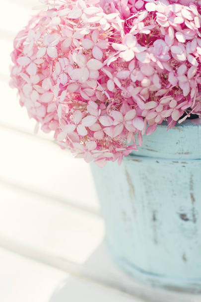 Rózsaszín Hydrangea virágok - Fotó, kép
